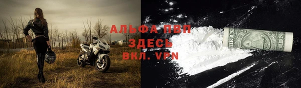 PSILOCYBIN Заволжье