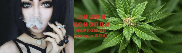 PSILOCYBIN Заволжье