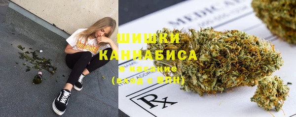 PSILOCYBIN Заволжье