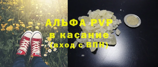 PSILOCYBIN Заволжье
